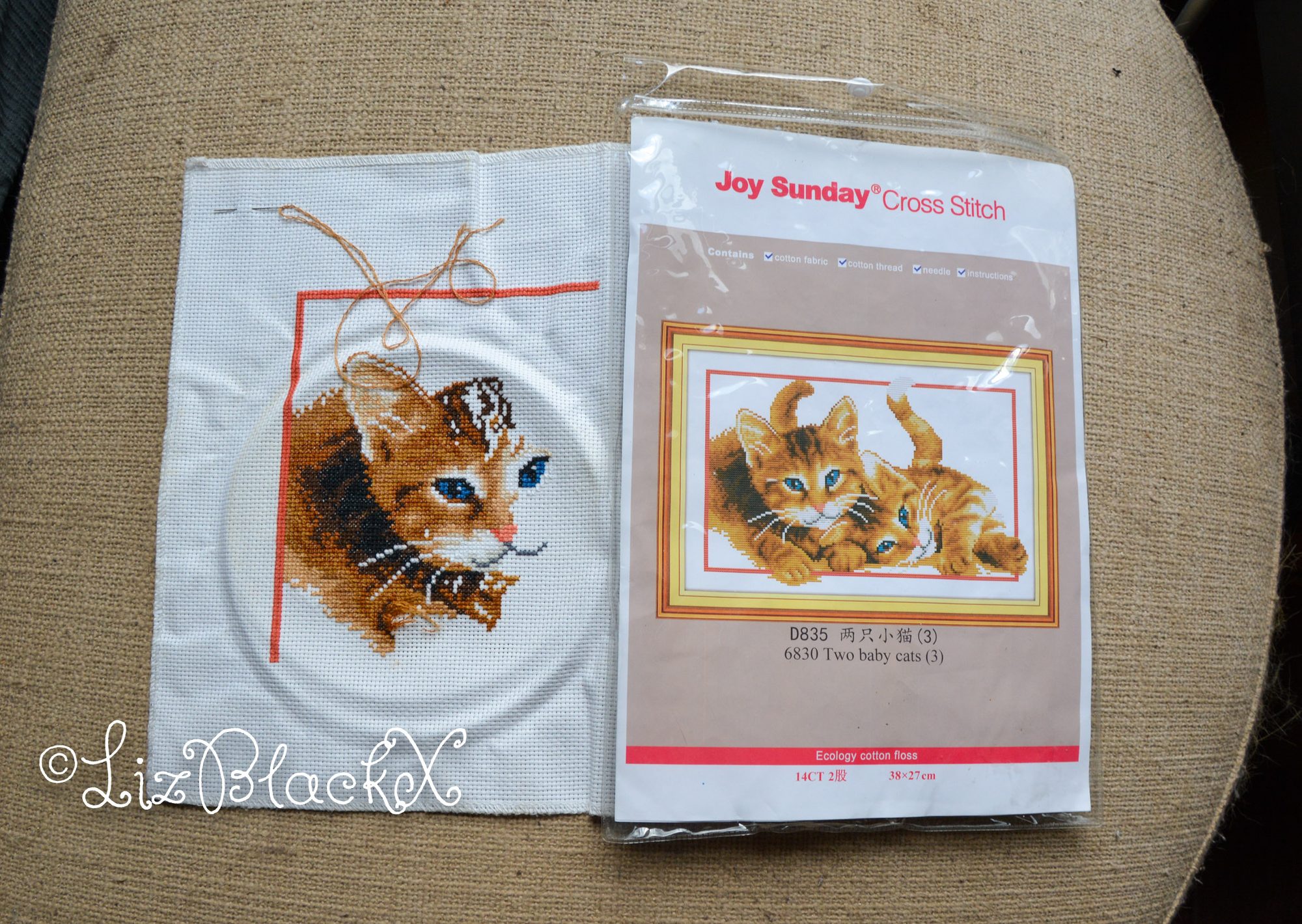 Cross stitch work of two kittens
Copyright Liz BlackX