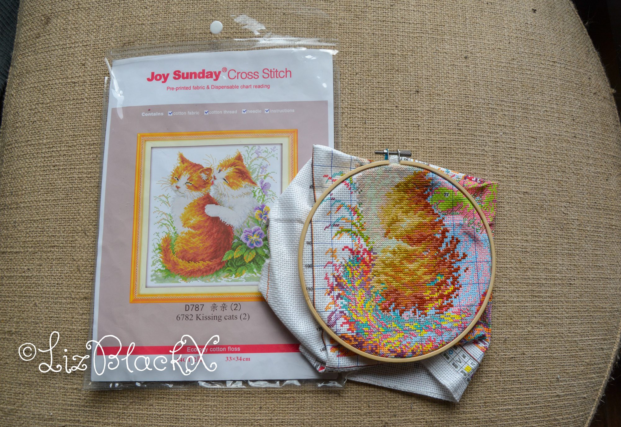 Cross stitch work of two cats
Copyright Liz BlackX