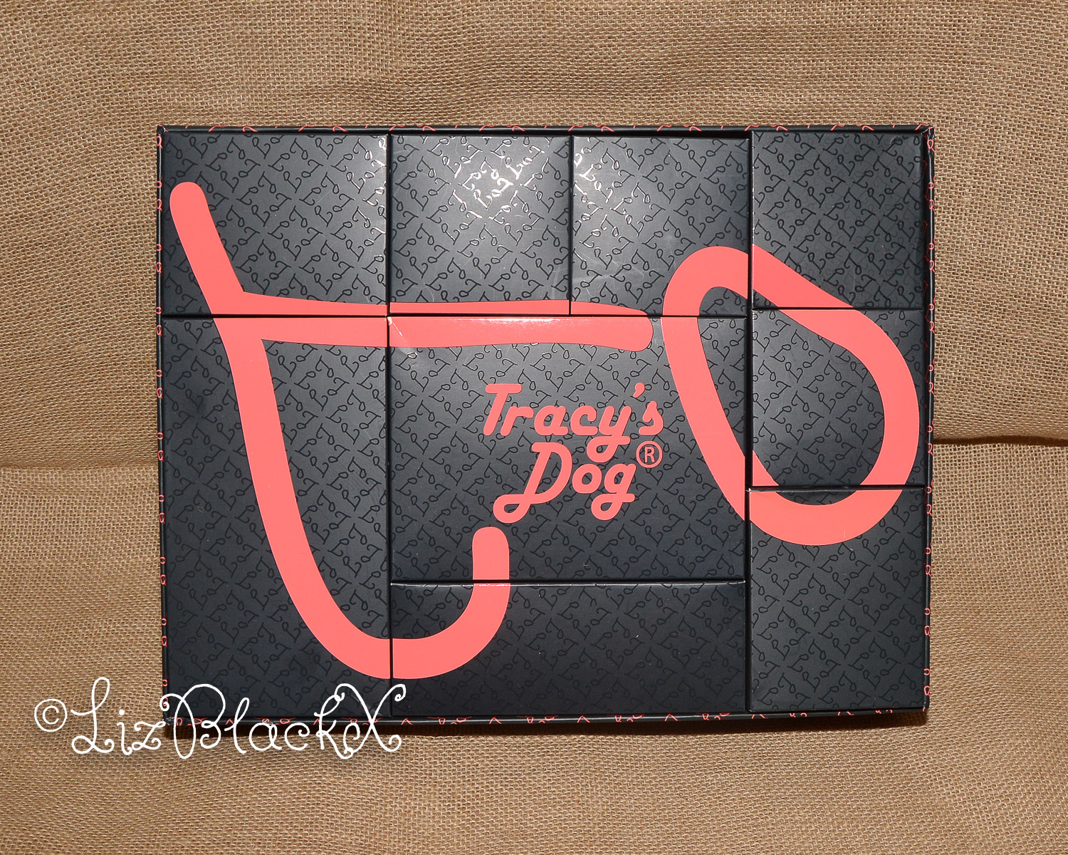 Review of Tracy’s Dog WOW Holiday Gift Box