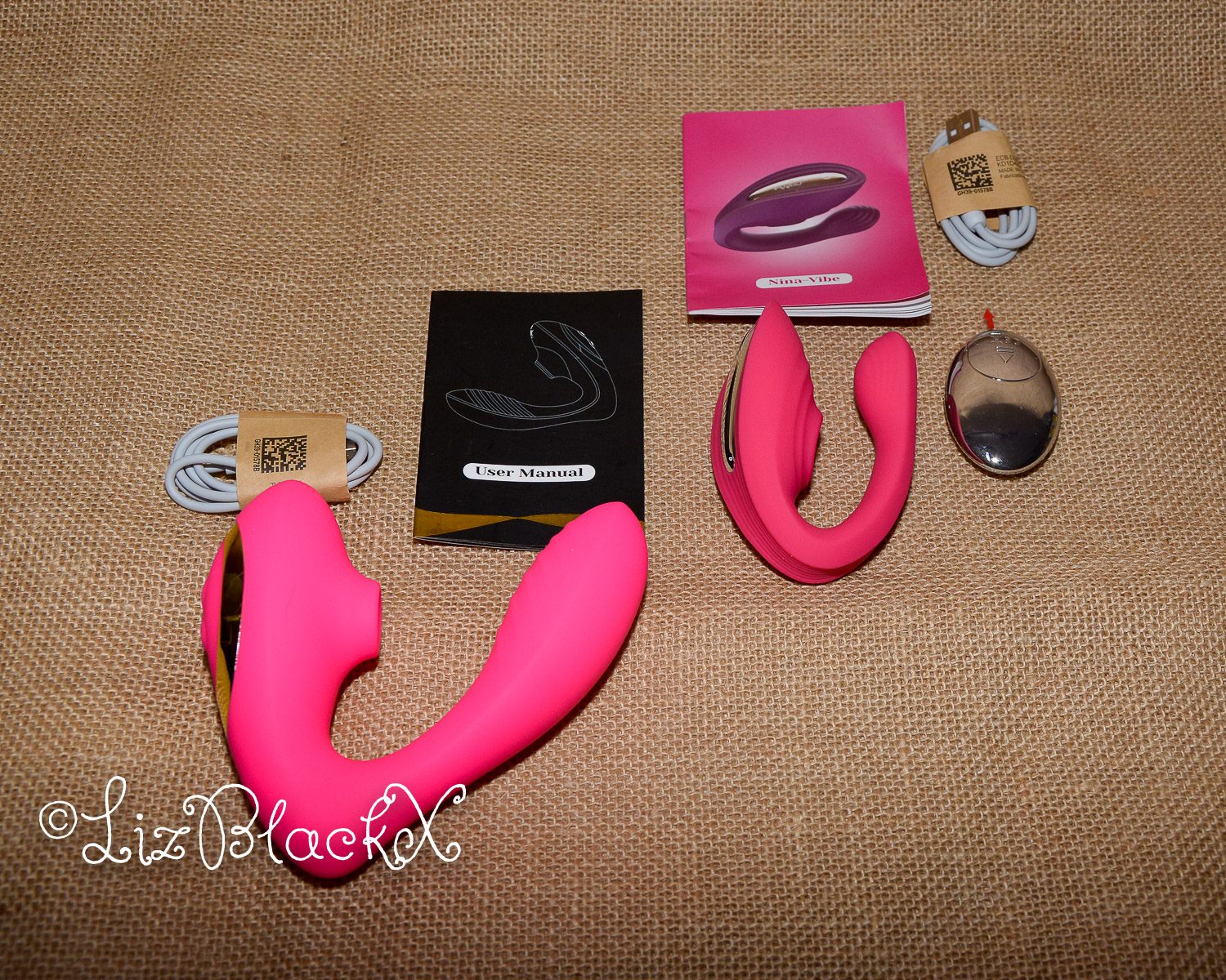 Review of Tracy's Dog WOW Holiday Gift Box Copyright Liz BlackX
