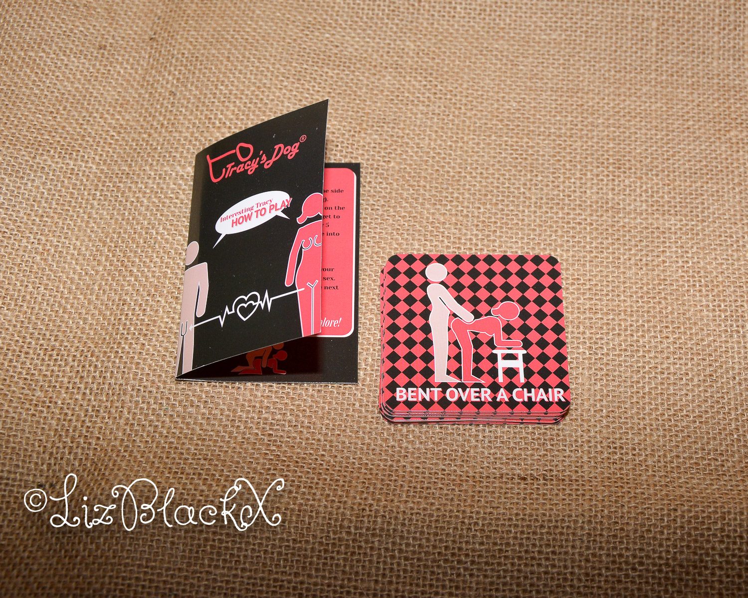 Review of Tracy's Dog WOW Holiday Gift Box Copyright Liz BlackX