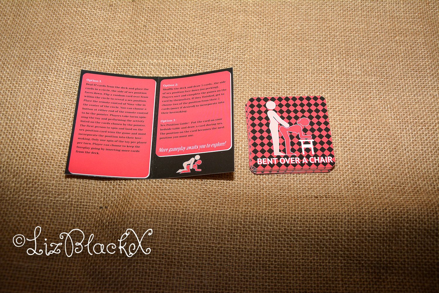 Review of Tracy's Dog WOW Holiday Gift Box Copyright Liz BlackX